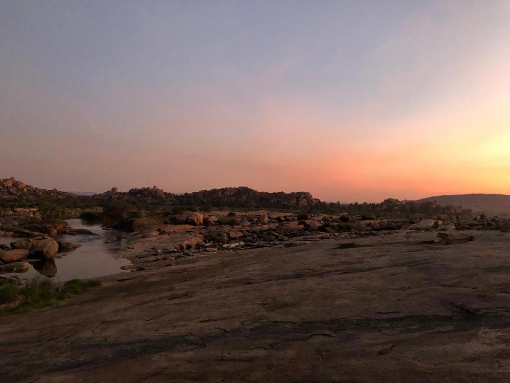 Leo Wodden Resort هامبي المظهر الخارجي الصورة