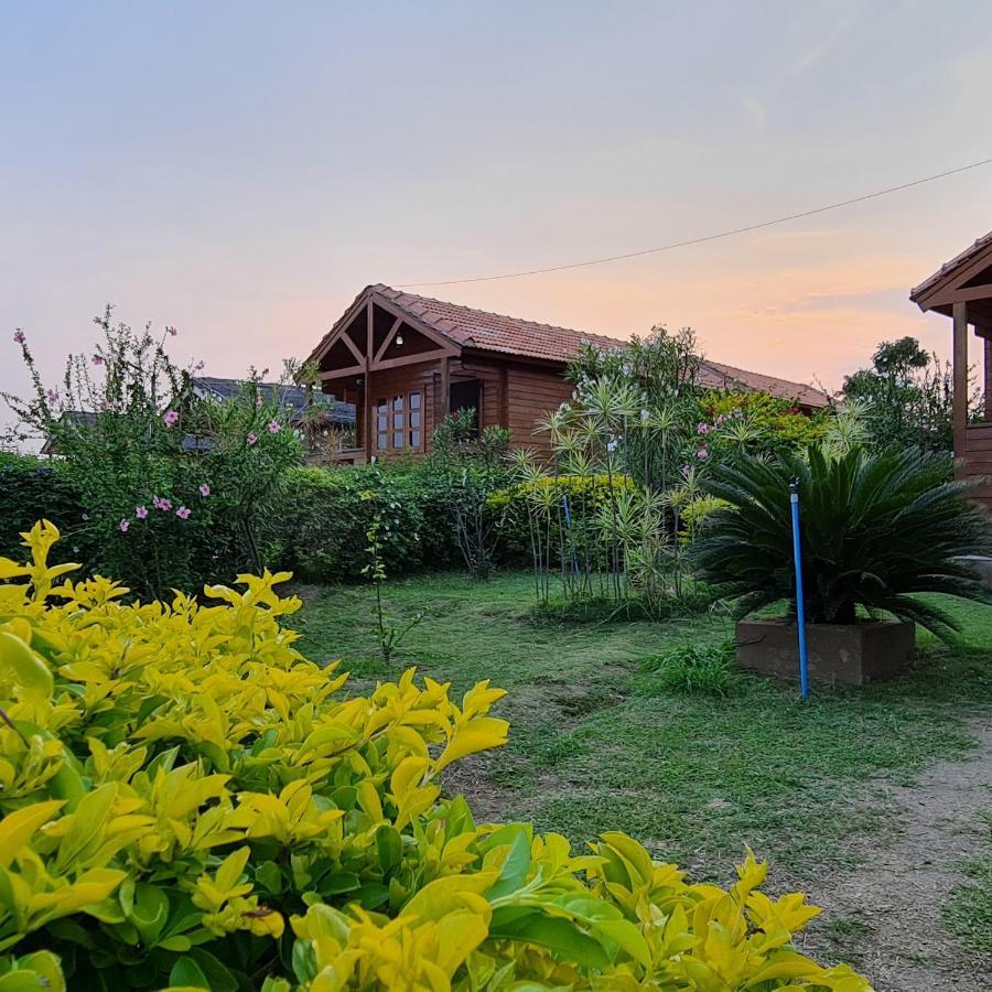 Leo Wodden Resort هامبي المظهر الخارجي الصورة