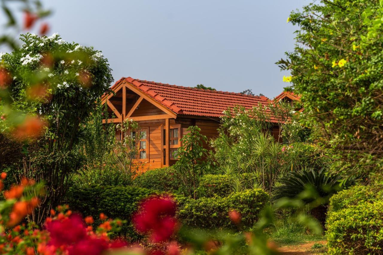 Leo Wodden Resort هامبي المظهر الخارجي الصورة
