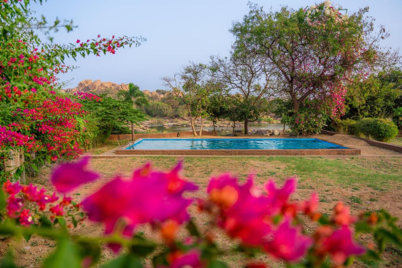 Leo Wodden Resort هامبي المظهر الخارجي الصورة